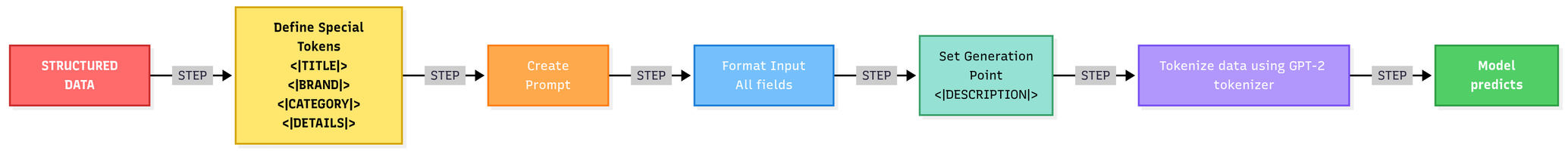 GPT-2 Input Format